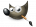 GIMP