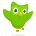 Duolingo