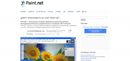 Paint.NET Paint.NET