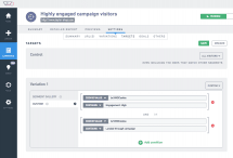 Visual Website Optimizer