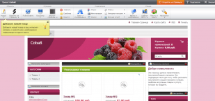 webnode