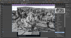 Adobe Muse