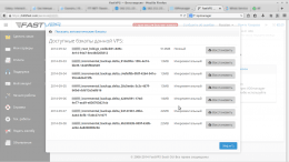 FastVPS