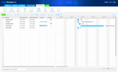 Project Manager
