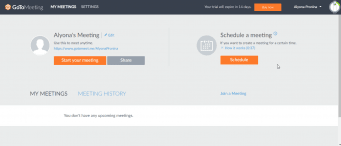 GoToMeeting