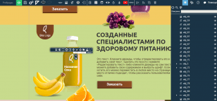 ProfiPages