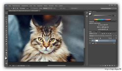 Adobe Photoshop