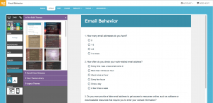 Surveygizmo