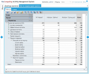 Activity Management System BTL