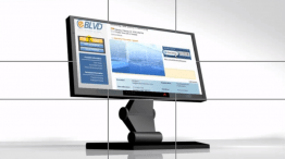 eBLVD Online Meetings