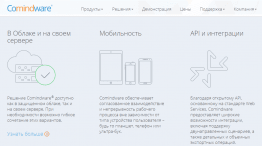 Comindware Process