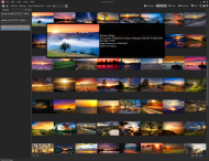 ACDSee Pro