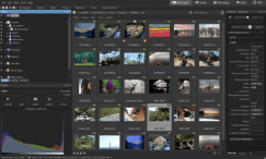 ACDSee Pro