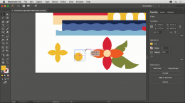 Adobe Illustrator