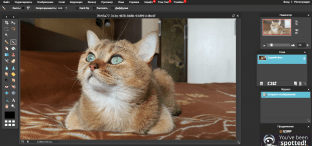 PXLR Editor