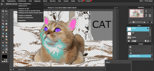 PXLR Editor