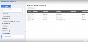 Apptivo Expense Reports