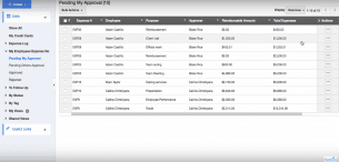 Apptivo Expense Reports