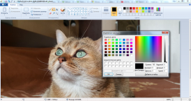 Paint