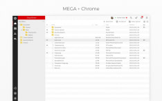 MEGA