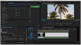 Adobe Premiere Pro