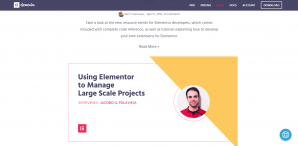 Elementor