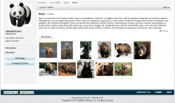 vBulletin