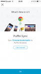 Puffin Web Browser