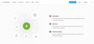 Brandwatch