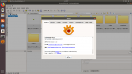 XnView