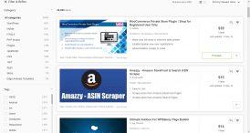 CodeCanyon
