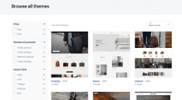 Shopify Themes