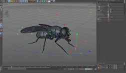 Cinema 4D