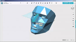 123D Design