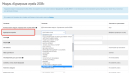 Курьерская служба 2008