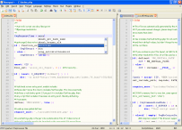 Notepad++