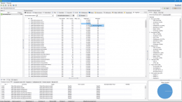 SiteAnalyzer